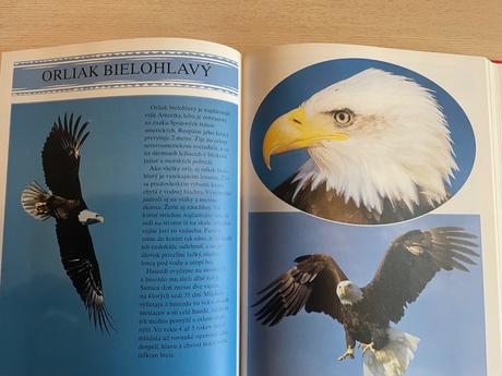 Encyklopedia zvierat, 