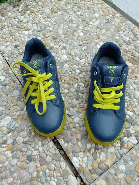 Topánky geox, geox,32