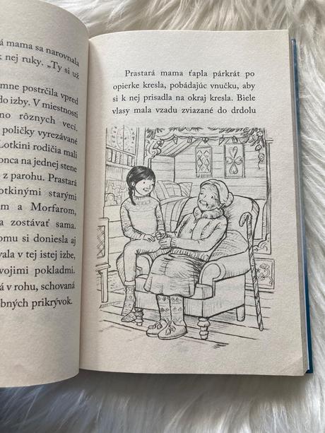 Lotka a vianoce so sobom holly webb,