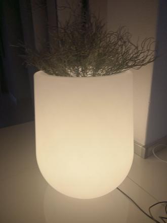 Svietiaci kvetináč, 
