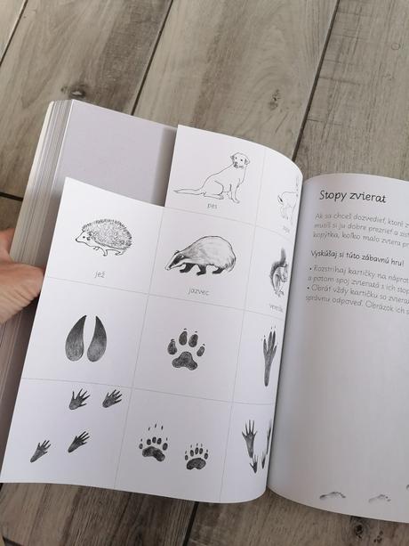 Montesori - aktivity pre deti, 