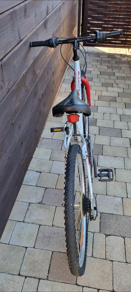 Bicykel author ultima, author,24