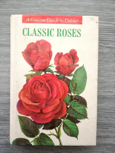 Classic roses, 