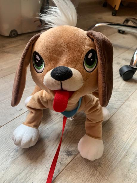 Floppy ťahací psík, 