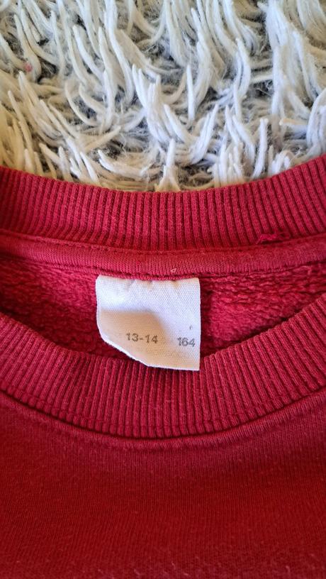 Mikina zara, zara,164