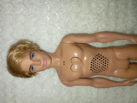 Barbie ken chlapci 2,