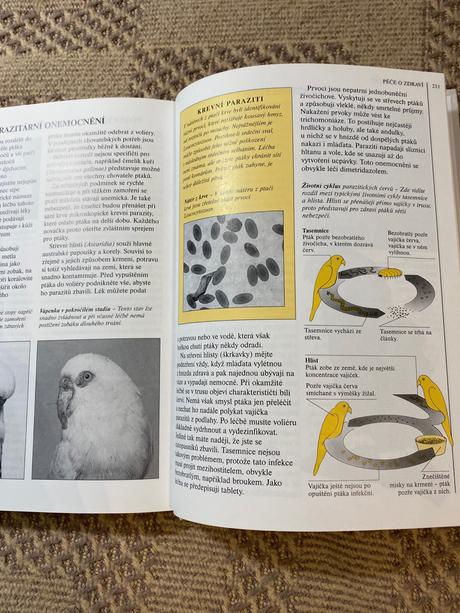 Krásna kniha vaše ptactvo david alderton,