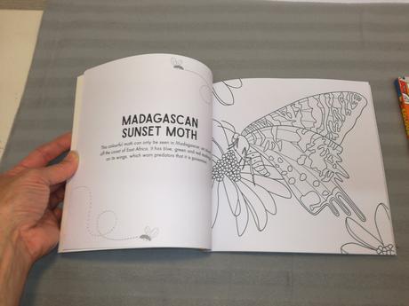 Colour me minibeasts / things that go nsu22,