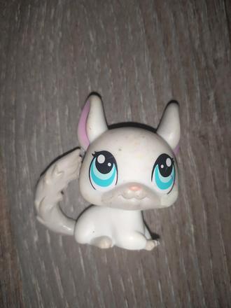 Lps littlest pet shop cincila,