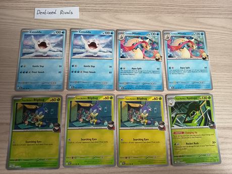 Pokemon destined rivals,