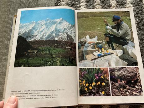 Diamír, kráľ vrchov-prvé vyd.1981,