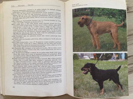 Starý retro atlas plemien psov,