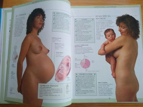 Elizabeth fenwick - veľká kniha o matke a dieťati,