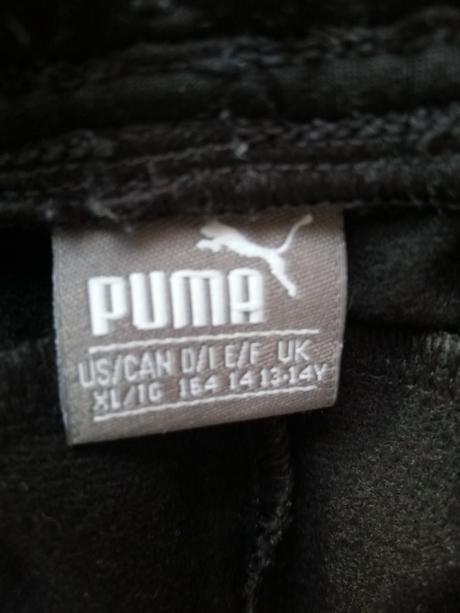 Teplaky, puma,164