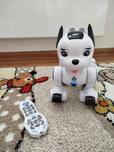 Interaktivny robopes wiky, 