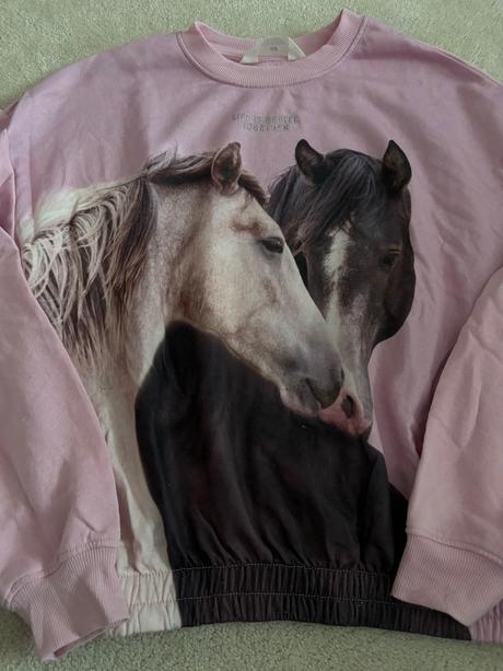 Mikina kôň, h&m,170