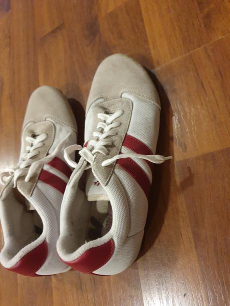 Halovky veľ. 37, 37