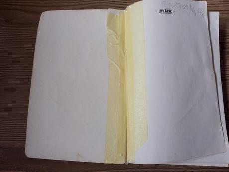 Tadeusz doleģa mostowicz - profesor wilczur, 