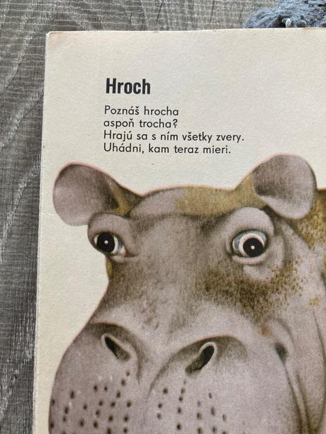 Čo sa sníva mrožovi (1969), 