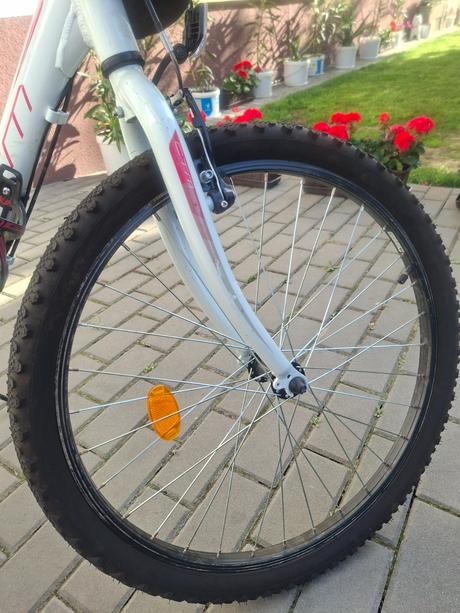 Krasny bicykel, 24