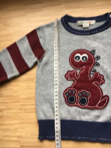 Dinosaurus / dracik svetrik, reserved,80