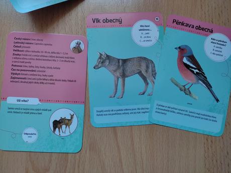 Karty lesnych zvierat, 