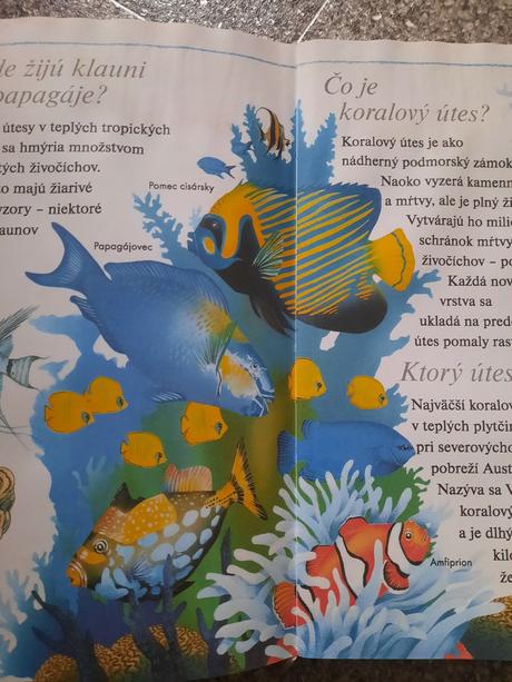 Chcem vedieť prečo - detská encyklopédia,