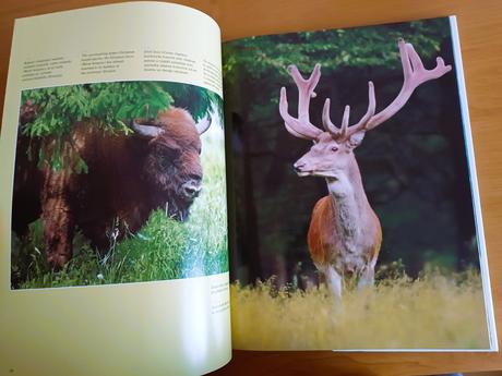 Slovenské národné parky, 