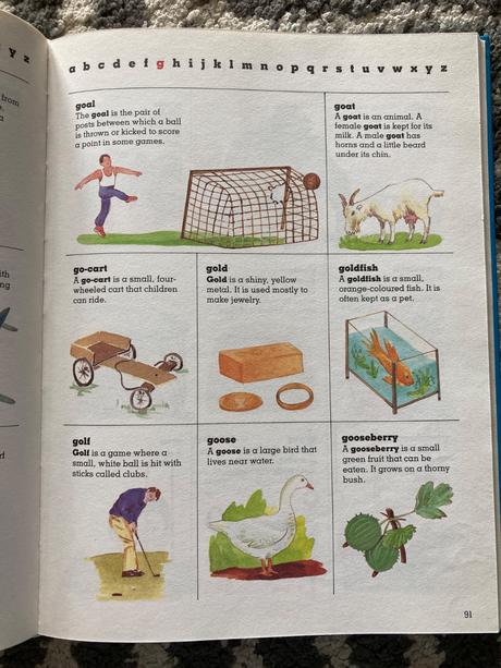 Children's first dictionary (1990), 