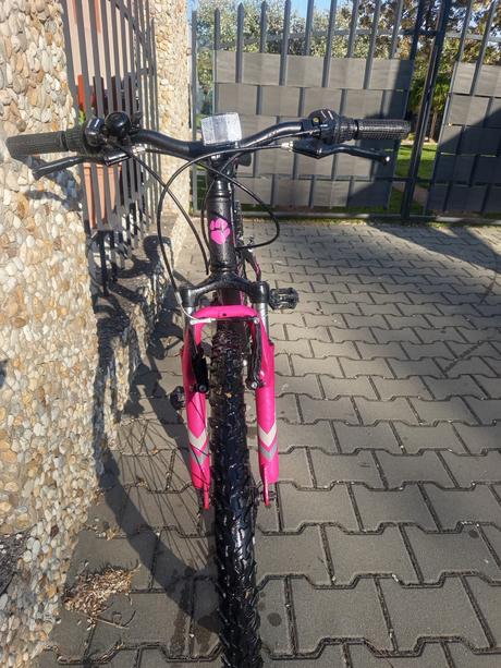 Dievčensky bicykel, 24