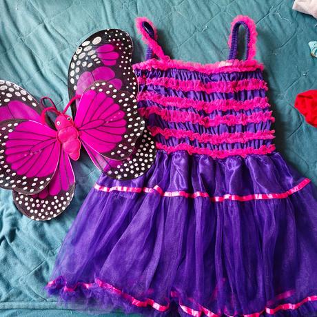 Kostým motýľ s krídlami, 