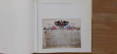 Nové mesto nad váhom, 