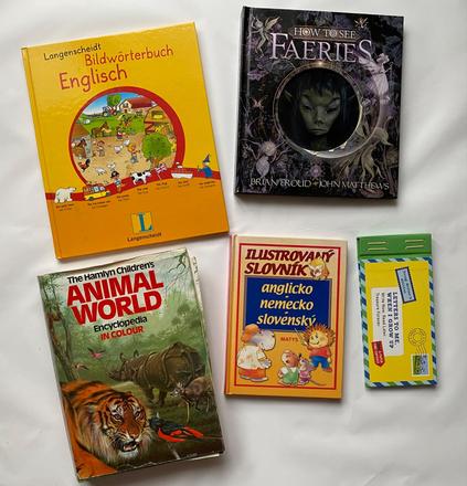 Knihy v anglickom jazyku + slovník,