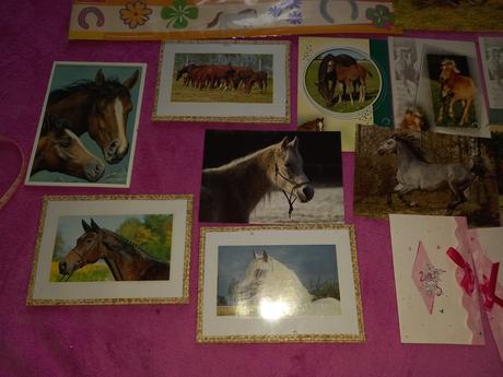 Koníkové závesné obrázky, pohľadnice, pozvánky,