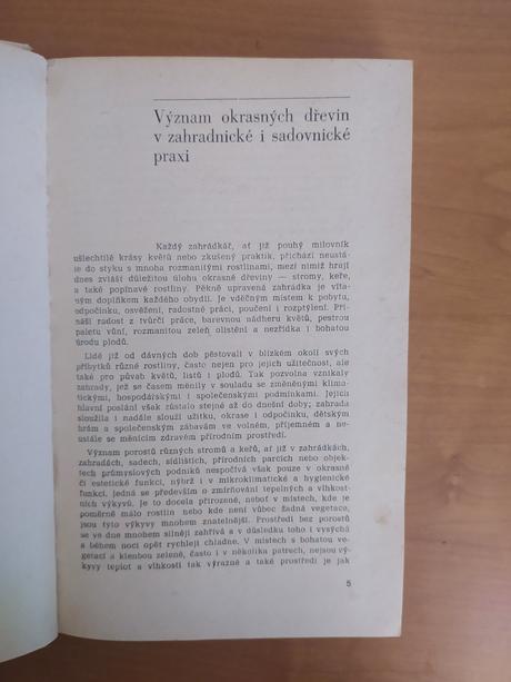 Stále zelené, opadavé a popínavé dreviny našich zá, 