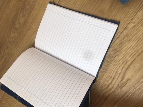 Džínsové denníky, 