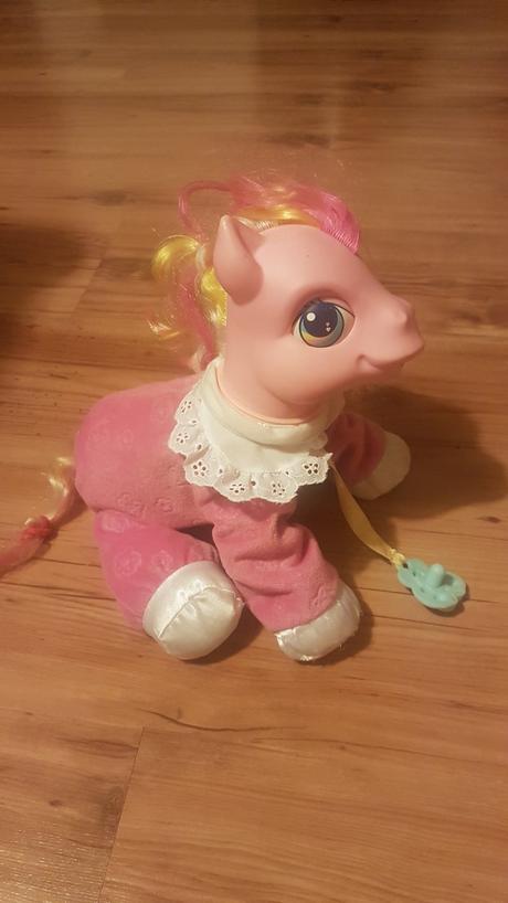 Koník/poník velký, 