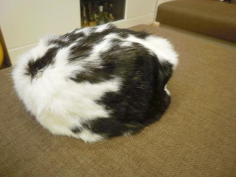 Kožušinová čiapka - zajac, 52