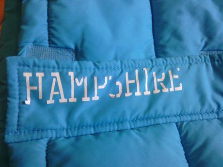 Hrubšia vesta, palomino,116