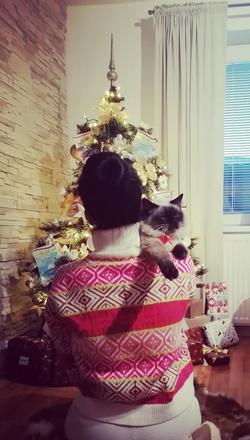 Dámsky sveter, rolák, gate,s