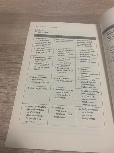 Rodičovstvo s rozumom a láskou vedieme deti k zodp,