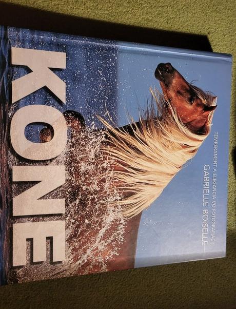 Kone, 