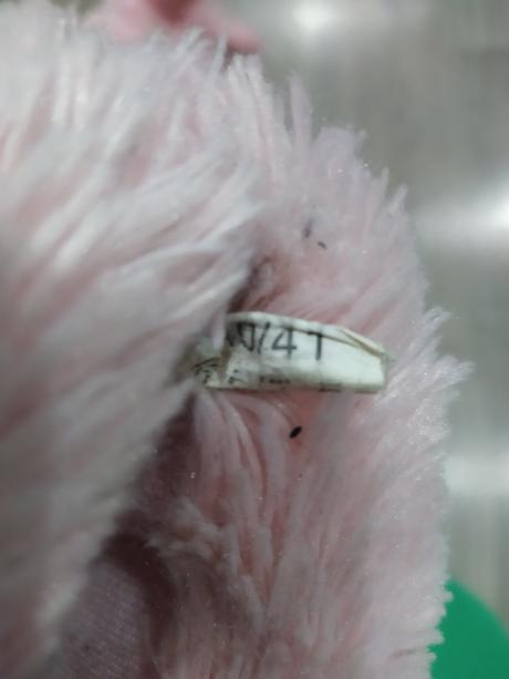 Papuče, deichmann,40