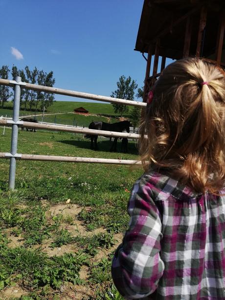 Predlžená košeľa, c&a,98