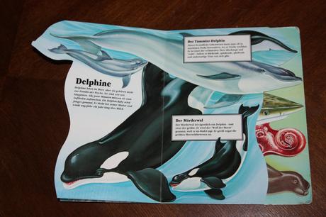 Leporelo meereslebewesen, 