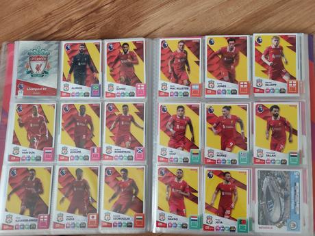 Premier league 2025 adrenalyn - panini,