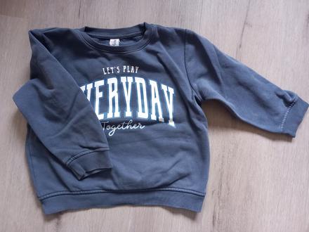 Mikina, topolino,104