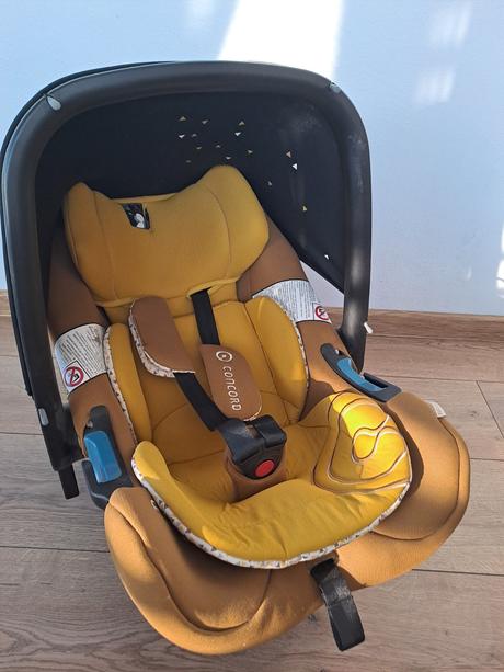 Concord vajicko, concord