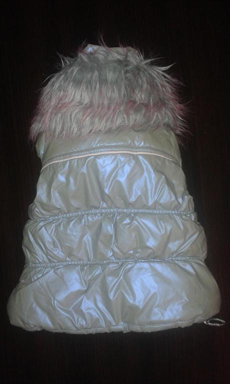 Vesta coccobello, coccobello,86