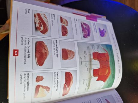 Kniha veľká kucharka kniha moderné kuchárske umeni,